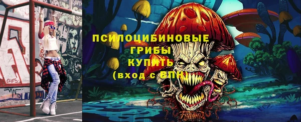 спиды Алзамай