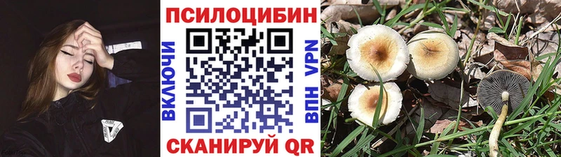 darknet состав  продажа наркотиков  Грязовец  Галлюциногенные грибы прущие грибы 